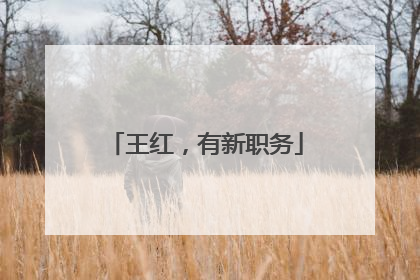 王红，有新职务