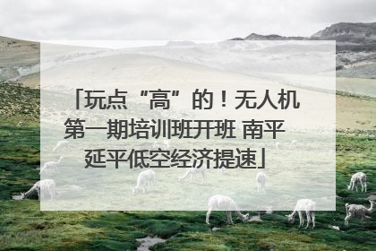 玩点“高”的！无人机第一期培训班开班 南平延平低空经济提速