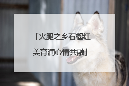 火腿之乡石榴红 美育润心情共融