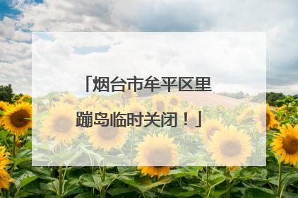 烟台市牟平区里蹦岛临时关闭！