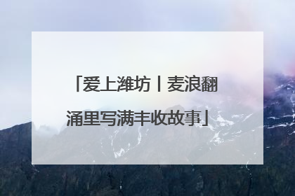 爱上潍坊丨麦浪翻涌里写满丰收故事
