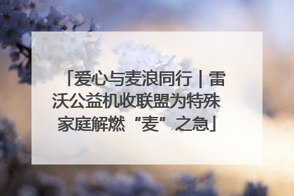 爱心与麦浪同行｜雷沃公益机收联盟为特殊家庭解燃“麦”之急