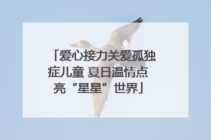 爱心接力关爱孤独症儿童 夏日温情点亮“星星”世界
