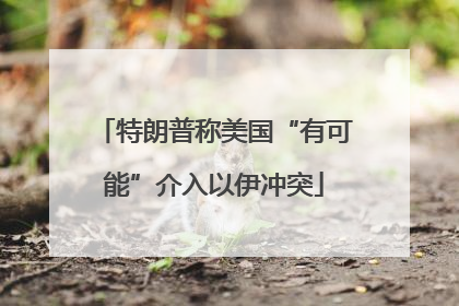 特朗普称美国“有可能”介入以伊冲突