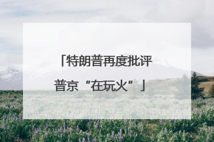 特朗普再度批评普京“在玩火”