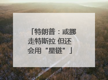 特朗普：或挪走特斯拉 但还会用“星链”