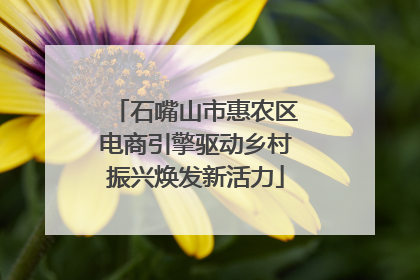 石嘴山市惠农区电商引擎驱动乡村振兴焕发新活力