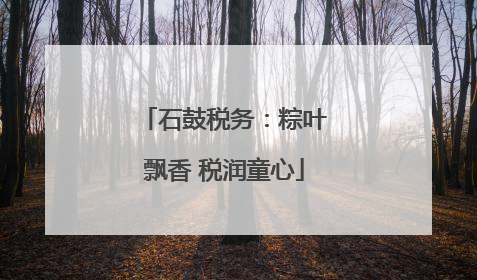 石鼓税务：粽叶飘香 税润童心
