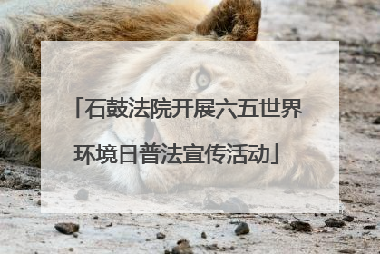 石鼓法院开展六五世界环境日普法宣传活动