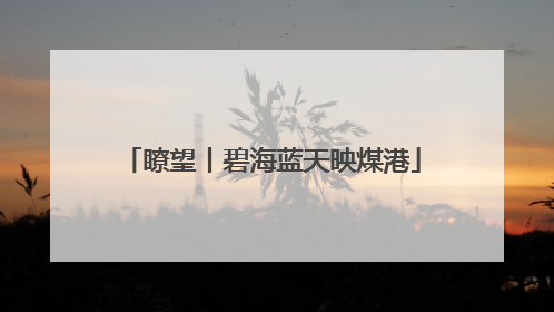 瞭望丨碧海蓝天映煤港