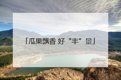 瓜果飘香 好“丰”景