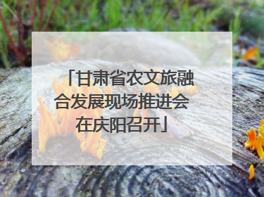 甘肃省农文旅融合发展现场推进会在庆阳召开