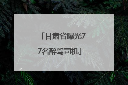 甘肃省曝光77名醉驾司机