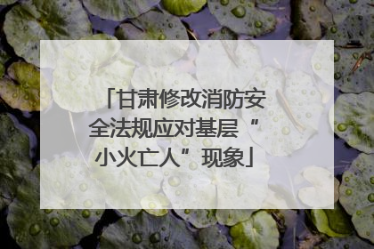 甘肃修改消防安全法规应对基层“小火亡人”现象