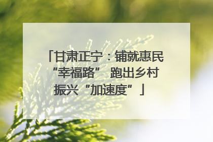 甘肃正宁：铺就惠民“幸福路” 跑出乡村振兴“加速度”