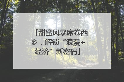 甜蜜风暴席卷西乡，解锁“浪漫+经济”新密码