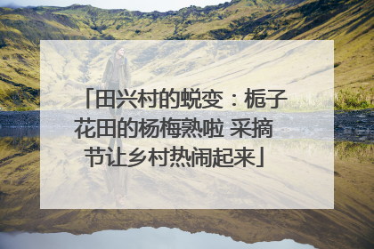 田兴村的蜕变：栀子花田的杨梅熟啦 采摘节让乡村热闹起来