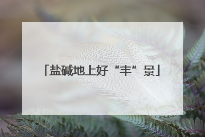 盐碱地上好“丰”景