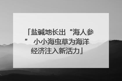 盐碱地长出“海人参” 小小海虫草为海洋经济注入新活力