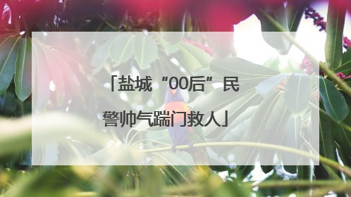 盐城“00后”民警帅气踹门救人