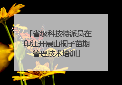 省级科技特派员在印江开展山桐子苗期管理技术培训