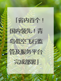 省内首个！国内领先！青岛低空飞行监管及服务平台完成部署