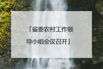 省委农村工作领导小组会议召开