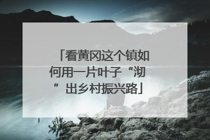 看黄冈这个镇如何用一片叶子“沏”出乡村振兴路