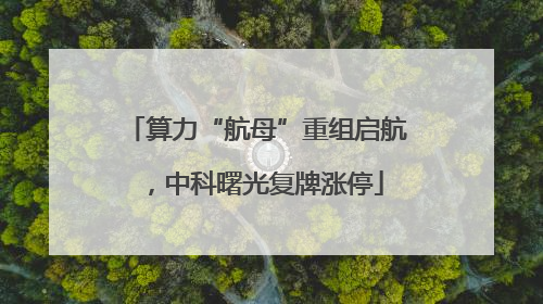 算力“航母”重组启航，中科曙光复牌涨停