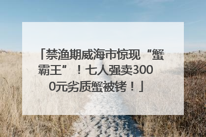 禁渔期威海市惊现“蟹霸王”！七人强卖3000元劣质蟹被铐！