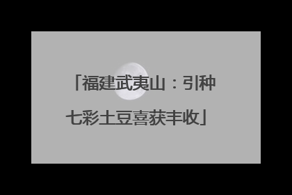 福建武夷山：引种七彩土豆喜获丰收