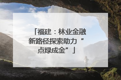 福建：林业金融新路径探索助力“点绿成金”