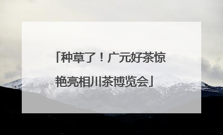种草了！广元好茶惊艳亮相川茶博览会
