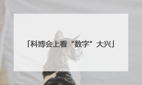 科博会上看“数字”大兴