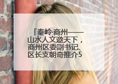 秦岭·商州——山水人文邀天下，商州区委副书记、区长支朝奇推介5个重点招商项目