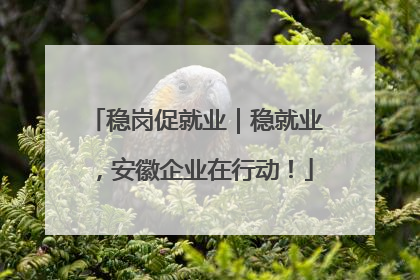 稳岗促就业｜稳就业，安徽企业在行动！