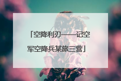 空降利刃——记空军空降兵某旅三营
