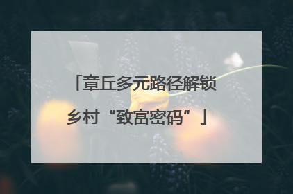 章丘多元路径解锁乡村“致富密码”