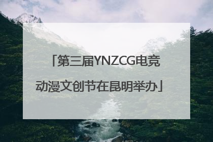 第三届YNZCG电竞动漫文创节在昆明举办