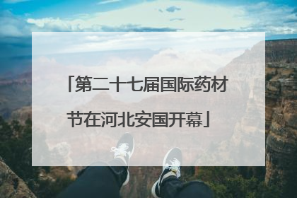 第二十七届国际药材节在河北安国开幕