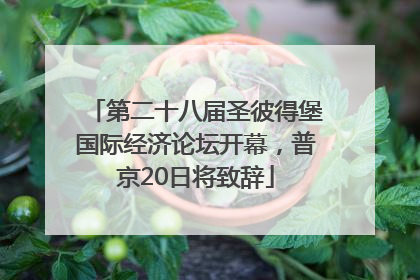 第二十八届圣彼得堡国际经济论坛开幕，普京20日将致辞