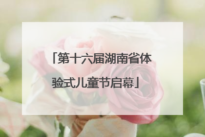 第十六届湖南省体验式儿童节启幕