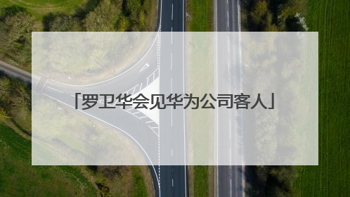 罗卫华会见华为公司客人