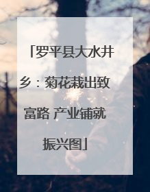 罗平县大水井乡：菊花栽出致富路 产业铺就振兴图