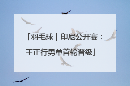 羽毛球｜印尼公开赛：王正行男单首轮晋级