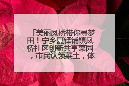 美丽凤桥带你寻梦田！宁乡夏铎铺镇凤桥社区创新共享菜园，市民认领菜土，体验耕种收获乐趣