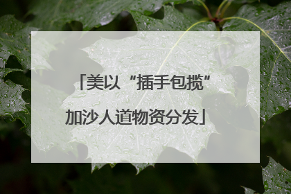 美以“插手包揽”加沙人道物资分发