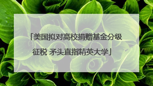 美国拟对高校捐赠基金分级征税 矛头直指精英大学