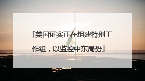 美国证实正在组建特别工作组，以监控中东局势