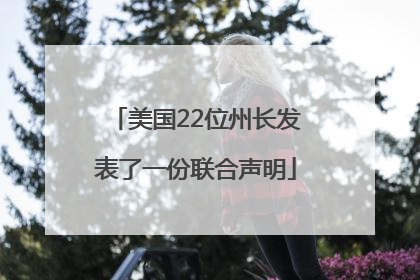 美国22位州长发表了一份联合声明